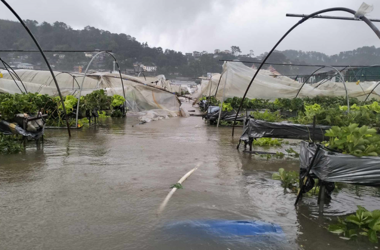 Halaga Ng Pinsala Ng Nagdaang Bagyo At Habagat Sa Agrikultura Umabot