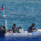 BFAR, nilinaw na pinapayagang makapangisda sa Bajo de Masinloc ang private foreign vessels