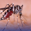Dengue cases sa bansa, bumaba