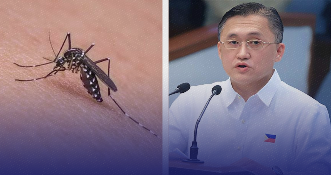 Pagpapaigting ng mga programa kontra Dengue, ipinanawagan