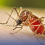 Leptospirosis cases bumaba; dengue cases tumaas ng 7% — DOH