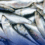 Manufacturers ng canned sardines, humihirit ng ₱3 taas-presyo