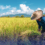 Agri students, inirekomendang isama sa 4Ps program