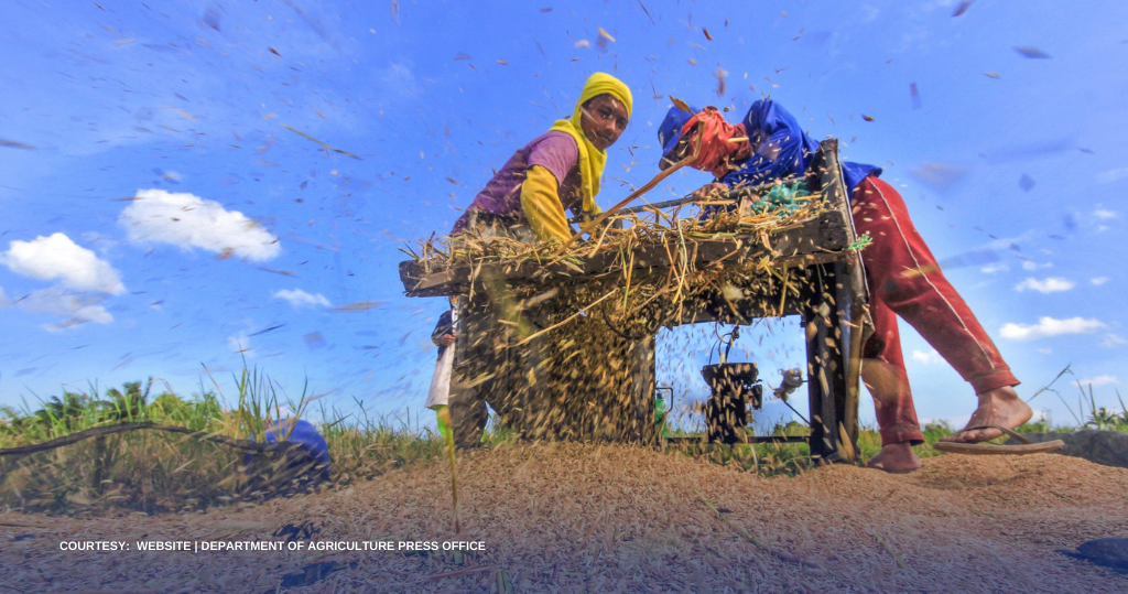 ₱17 at ₱21/kilo presyo ng wet at dry na palay, napagkasunduan