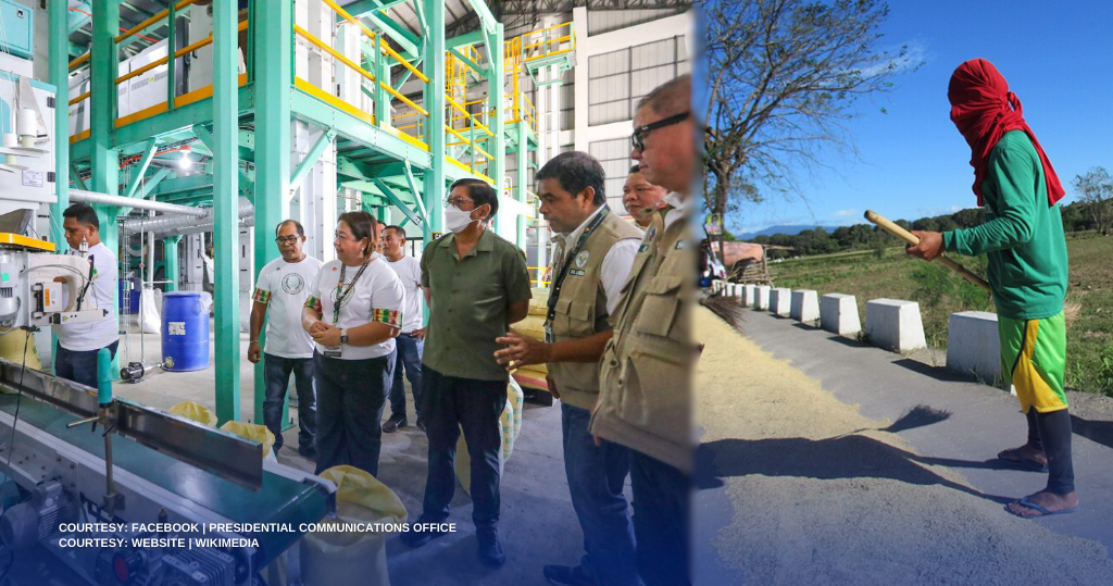 MAHIGIT 300 PALAY PROCESSING CENTERS, TARGET ITAYO NG PAMAHALAAN NGAYONG TAON