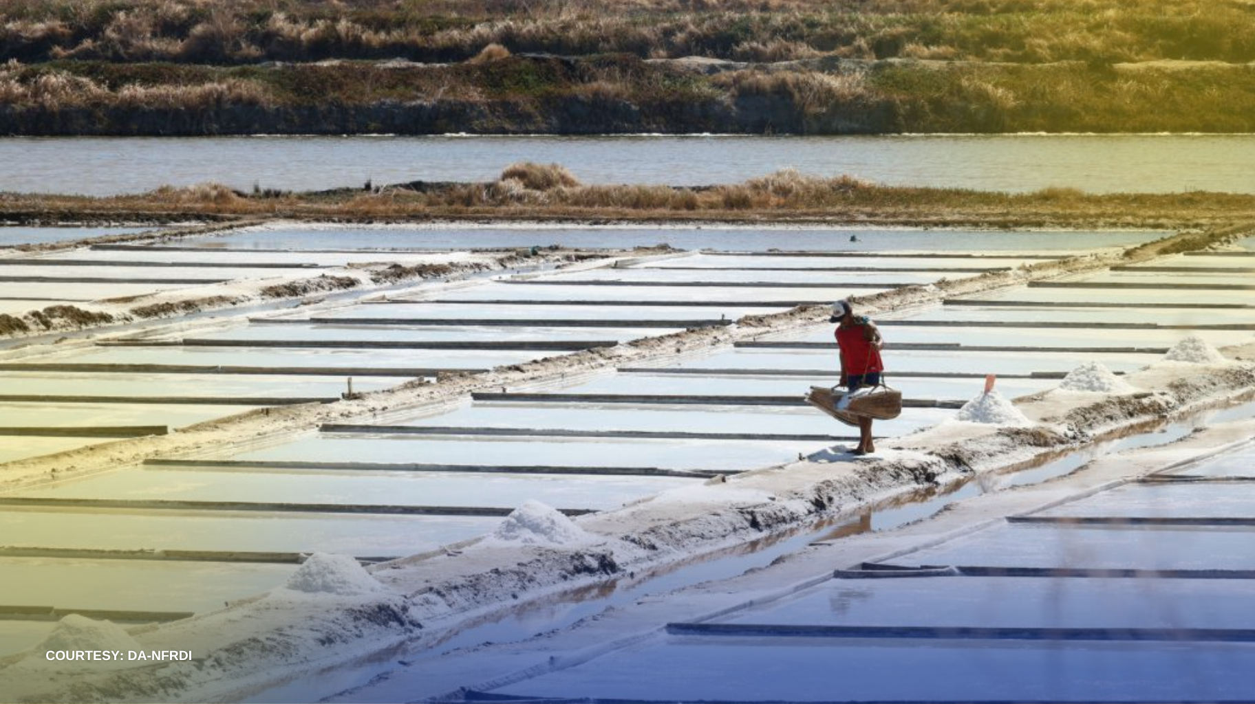 PRODUKSYON NG ASIN SA BANSA, UMAKYAT SA HALOS 200,000 METRIC TONS SA UNANG KALAHATI NG 2026