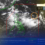 LPA, MAY KATAMTAMANG TSANSA NA MAGING TROPICAL DEPRESSION SA SUSUNOD NA 24 ORAS