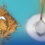 ALAMIN KUNG ANO NGA BA ANG MAS HEALTHY, BROWN SUGAR O  WHITE SUGAR?   C