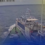 PAGBANGGA NG BARKO NG CHINA SA BFAR VESSEL, HINDI KATANGGAP-TANGGAP NA PAGLABAG SA INTERNATIONAL LAW, AYON SA DEFENSE CHIEF