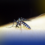 ALBAY, ISINAILALIM SA STATE OF CALAMITY DAHIL SA PAGTAAS NG KASO NG DENGUE