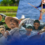 20 BILLION PESOS, TINATAYANG MAWAWALA SA MGA MAGSASAKA DAHIL SA EPEKTO NG SUPER EL NIÑO