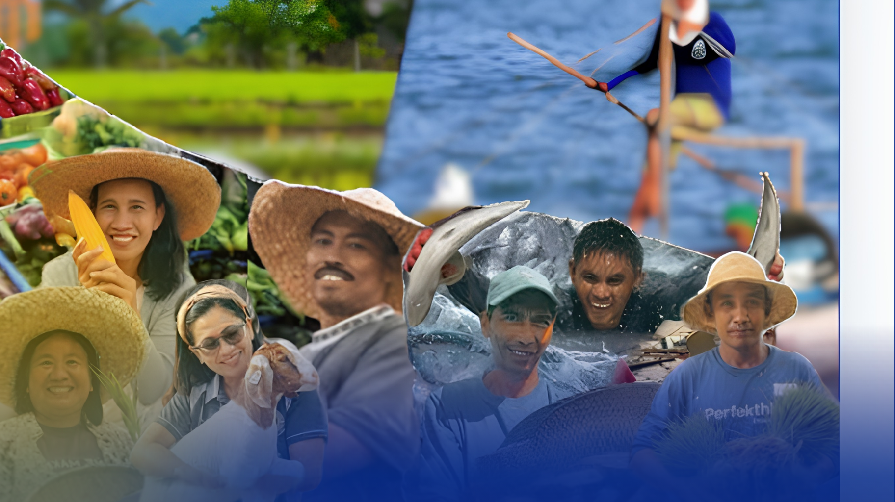 20 BILLION PESOS, TINATAYANG MAWAWALA SA MGA MAGSASAKA DAHIL SA EPEKTO NG SUPER EL NIÑO